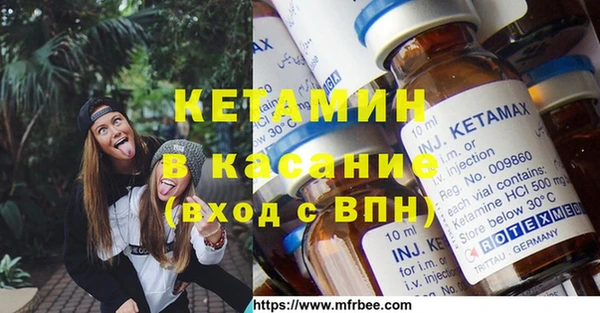 прущие грибы Абинск