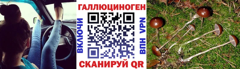 купить наркотик  Ханты-Мансийск  Галлюциногенные грибы GOLDEN TEACHER 