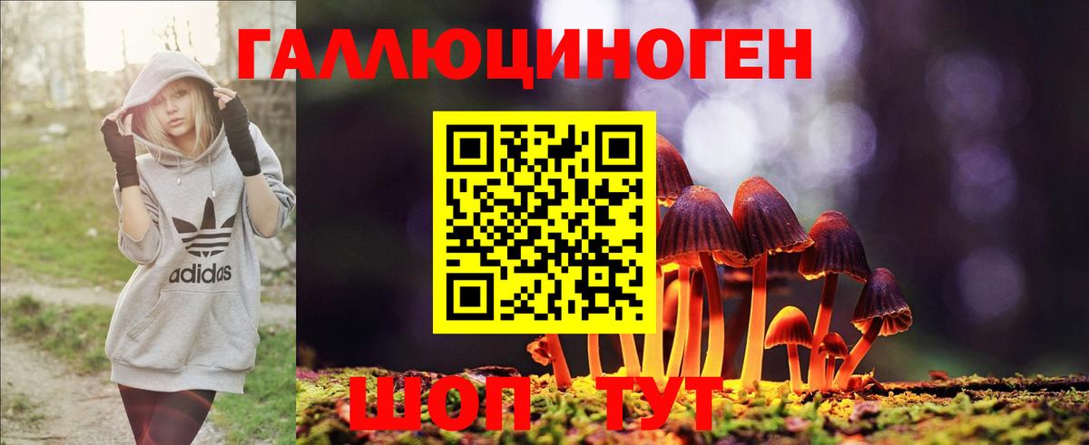 Ханты-Мансийск  Псилоцибиновые грибы GOLDEN TEACHER  Вход с VPN 